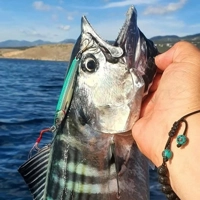 Savage Gear 3D Jig Minnows